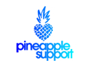 Pinbeapple Support